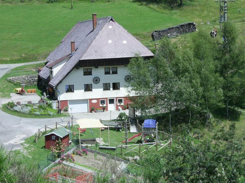 Bauernhof Hinterhauensteinhof