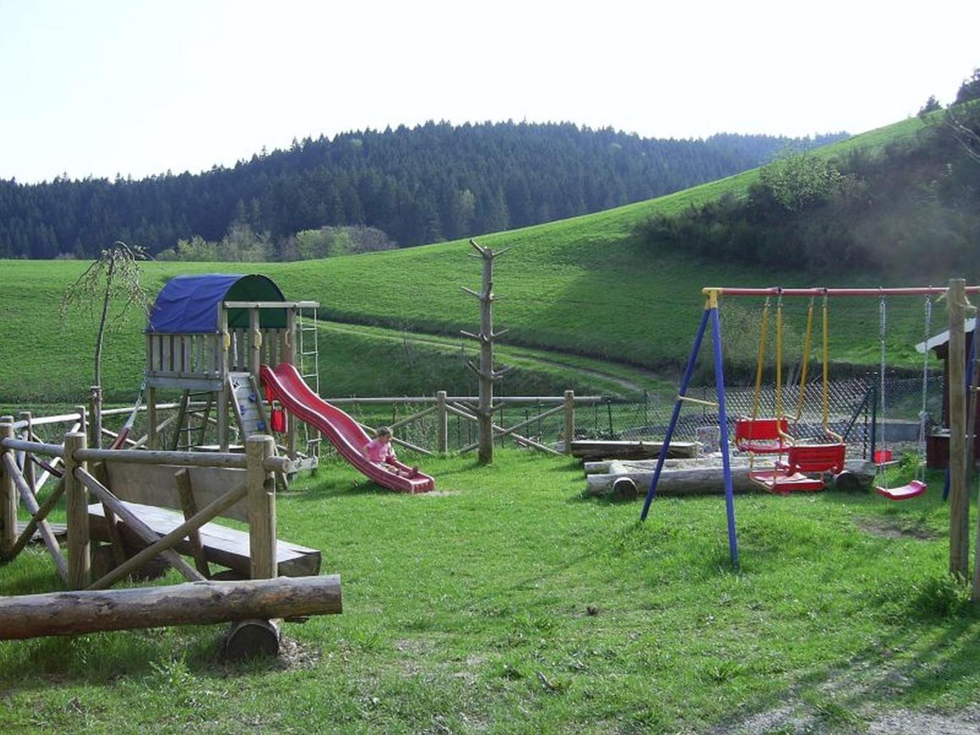 Hinterhauensteinhof Bauernhof Hornberg