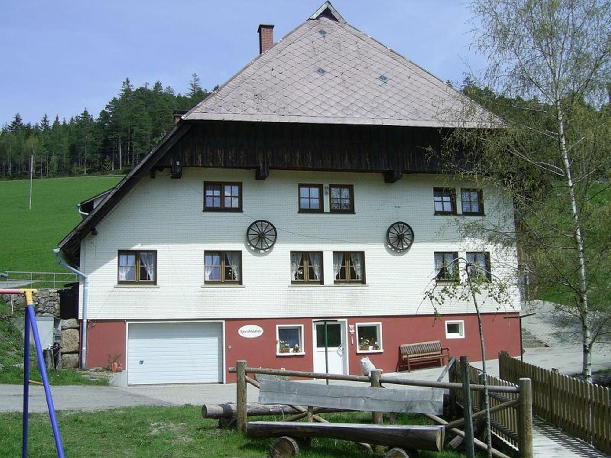 Bauernhof Hinterhauensteinhof Hornberg