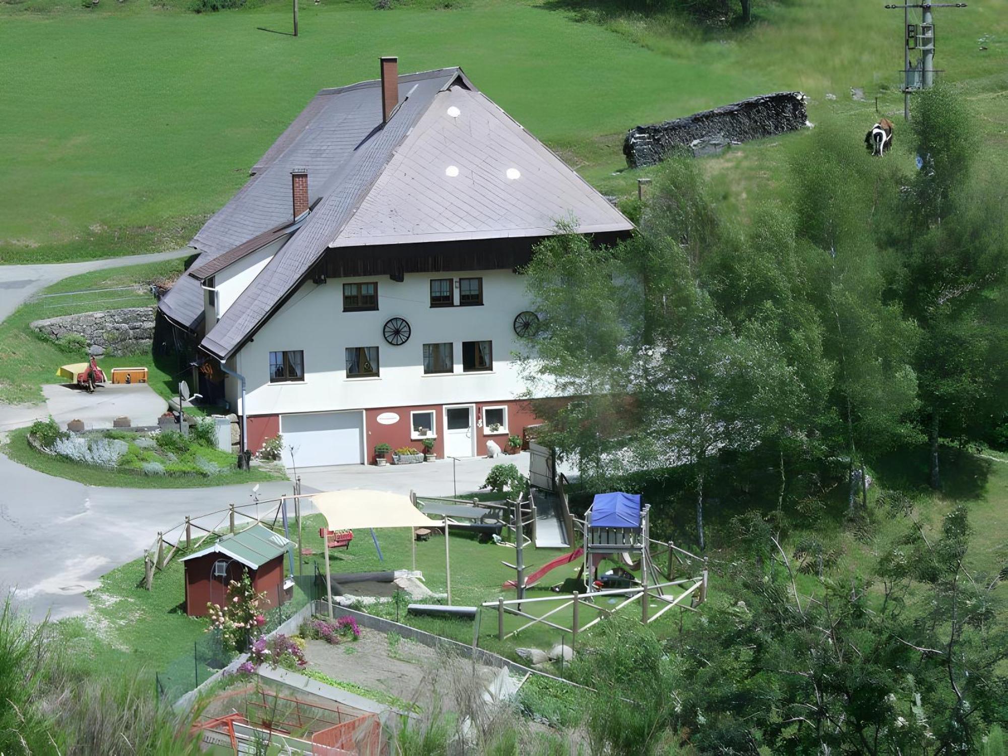 Farm stay Hinterhauensteinhof