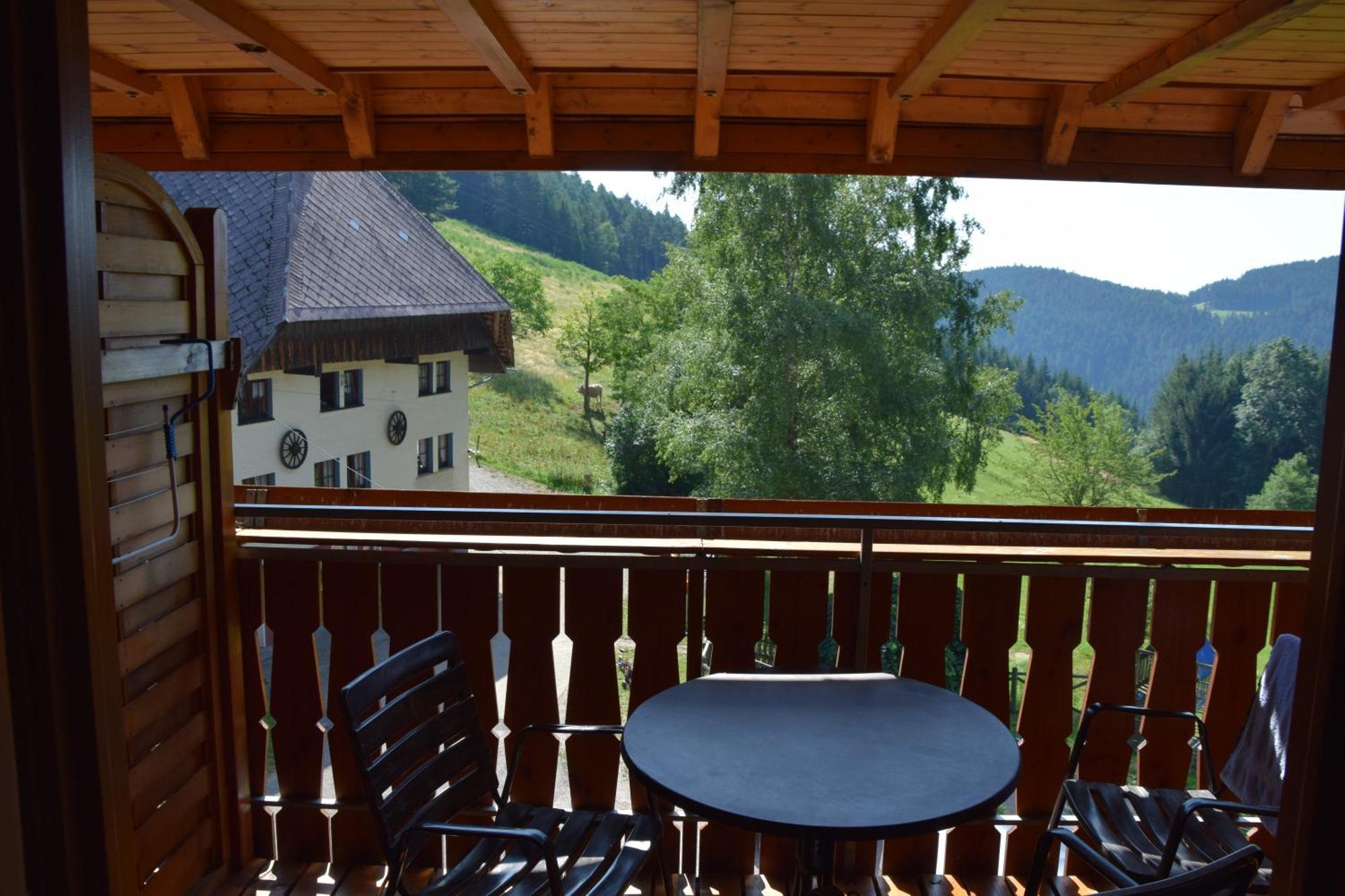 Hinterhauensteinhof Farm stay *