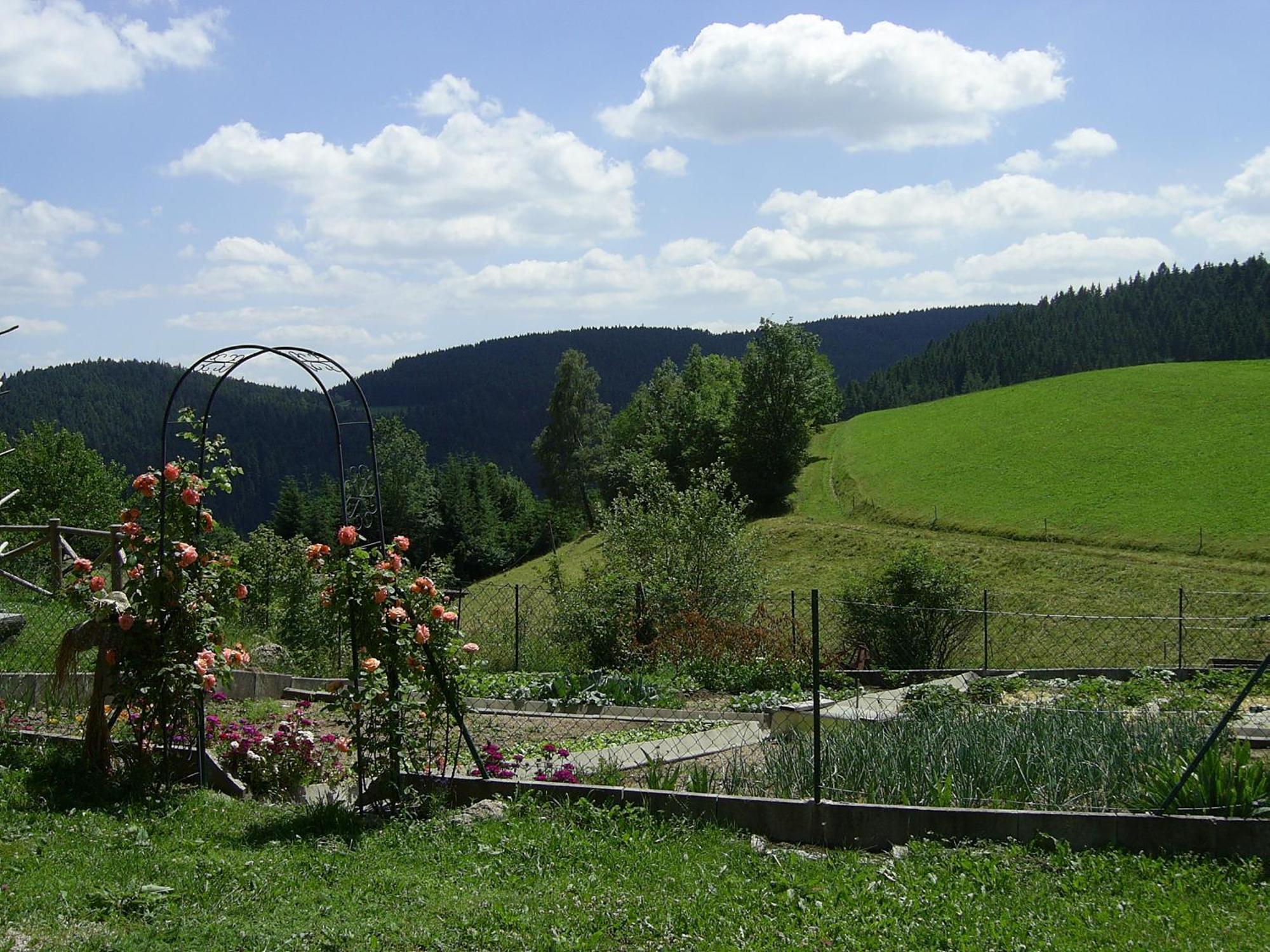 Farm stay Hinterhauensteinhof Hornberg